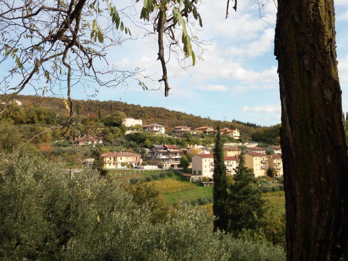 Panoramico10 Apartment With A View In Valpolicella Sant'Ambrogio di Valpolicella Exterior photo